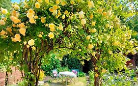 Garden Cottage